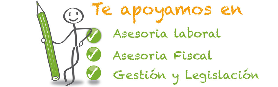 Asesoria Lozano